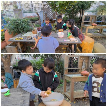 Collage_20241118_105739