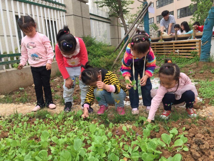 QQ图片20190523174330.jpg